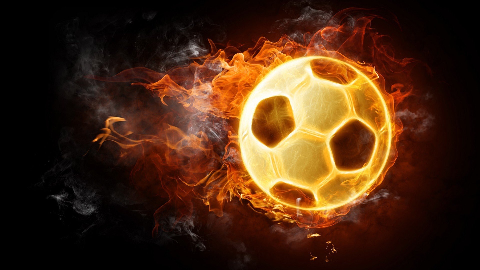 备战背后的秘密：教练组的秘密技术档案，教练组成员